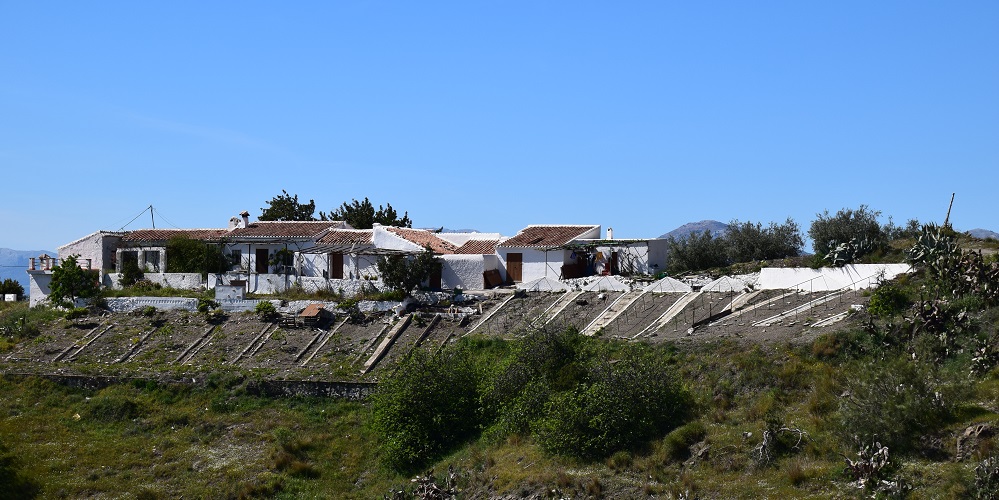 Grape Drying Paseros in the Axarquia