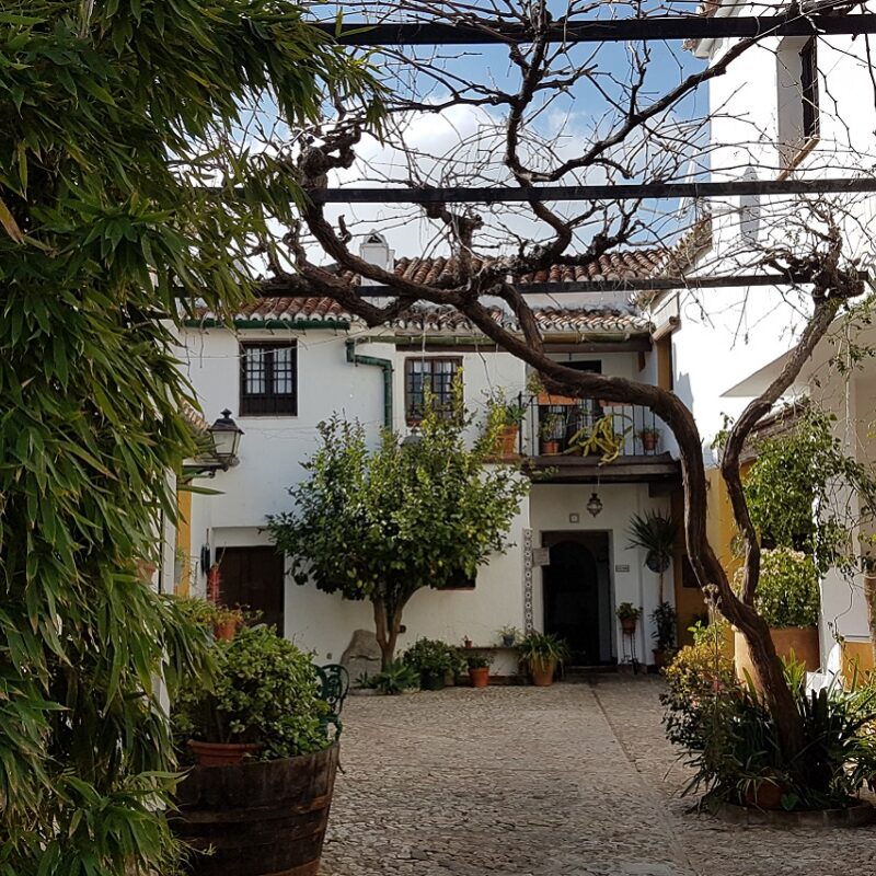 Comares in the Axarquia Courtyard