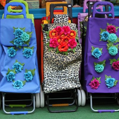 Shopping Carts