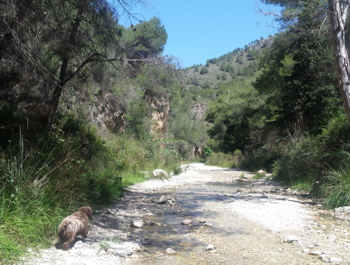 Walking and Hiking in the Axarquia