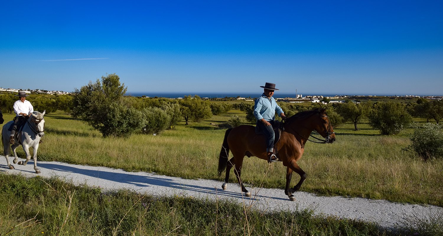 Man riding horse in velez malaga