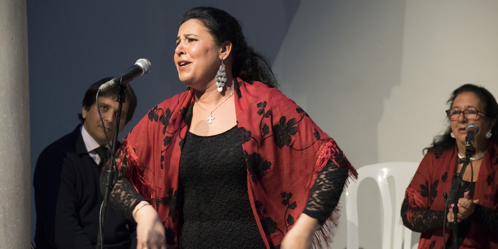 Flamenco in the Palacio de Beniel