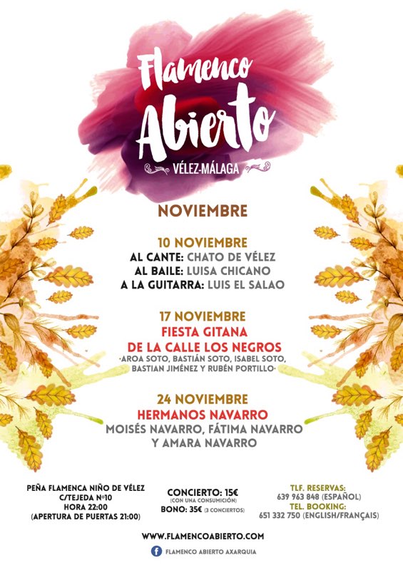 flamenco abierto programme november