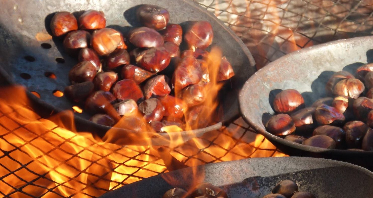 roasting chestnuts in the axarquia