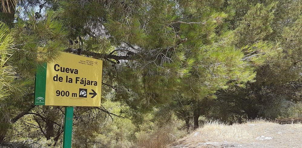 Cueva de la Fajara, Canillas de Aceituno