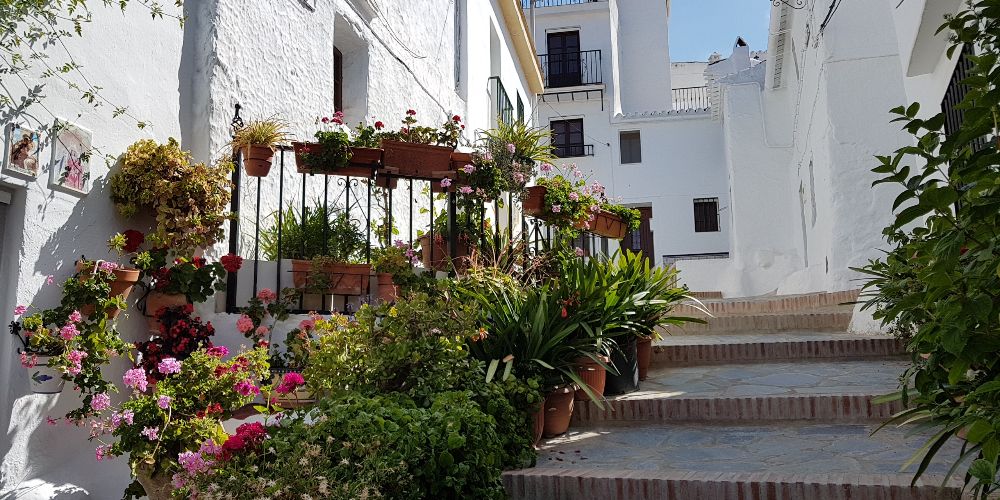 Plant filled street, Canillas de Aceituno