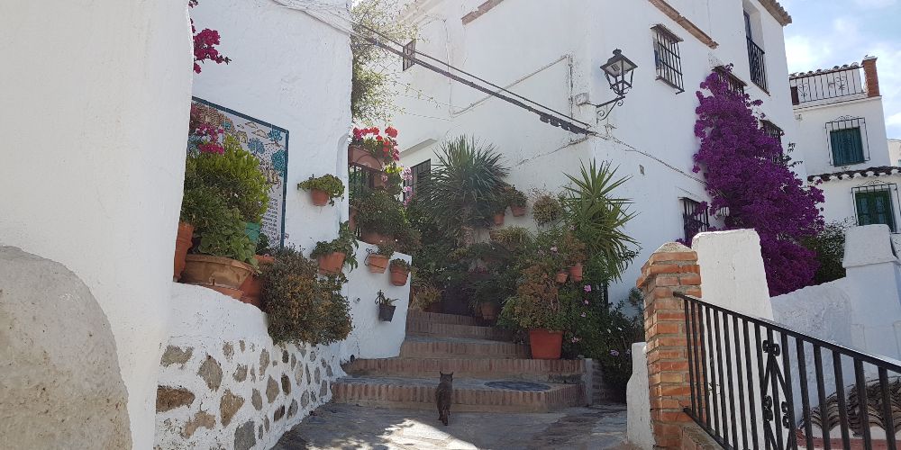 Canillas de Aceituno, Pretty Street