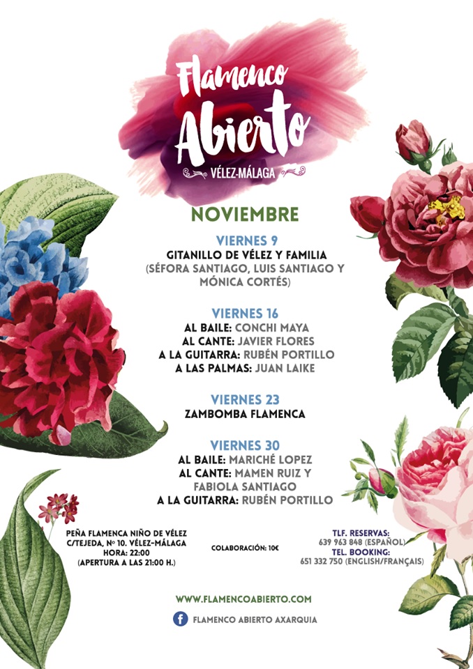 Flamenco in Velez Nov 2018