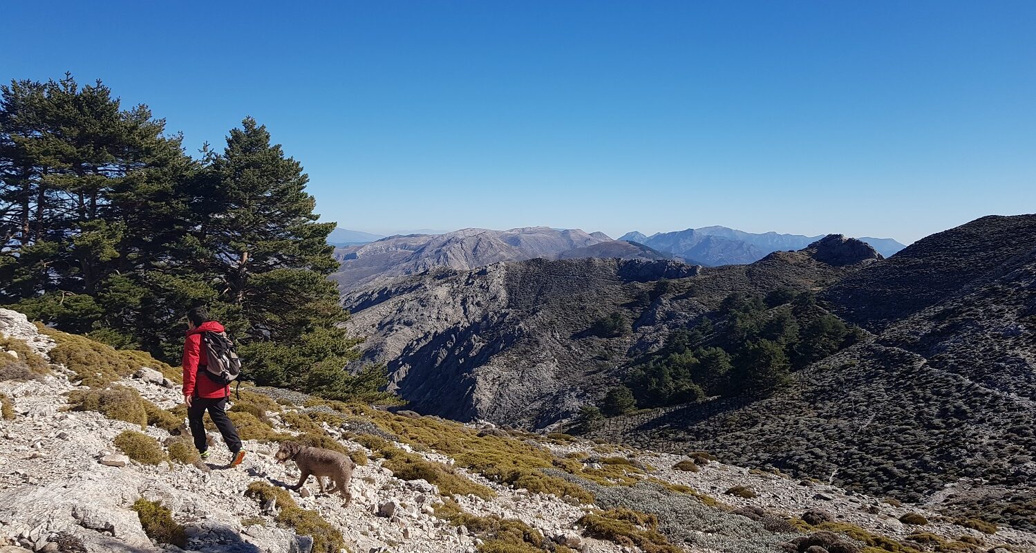 Hiking La Maroma Mountain