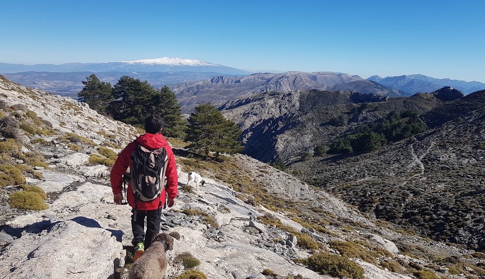 Sierra Nevada from la Maroma