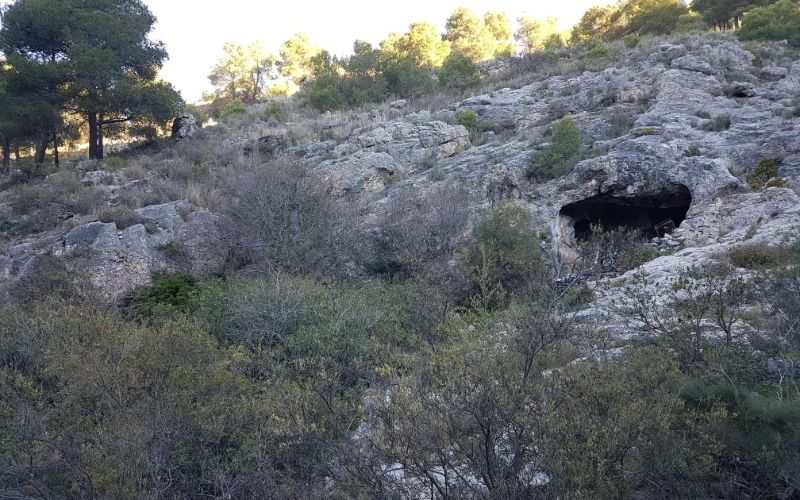 Entrance to Cave near Canillas de Aceituno