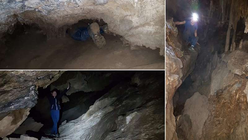 Cueva Fajara, Canillas de Aceituno