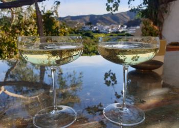 Cava with a view in the Axarquia