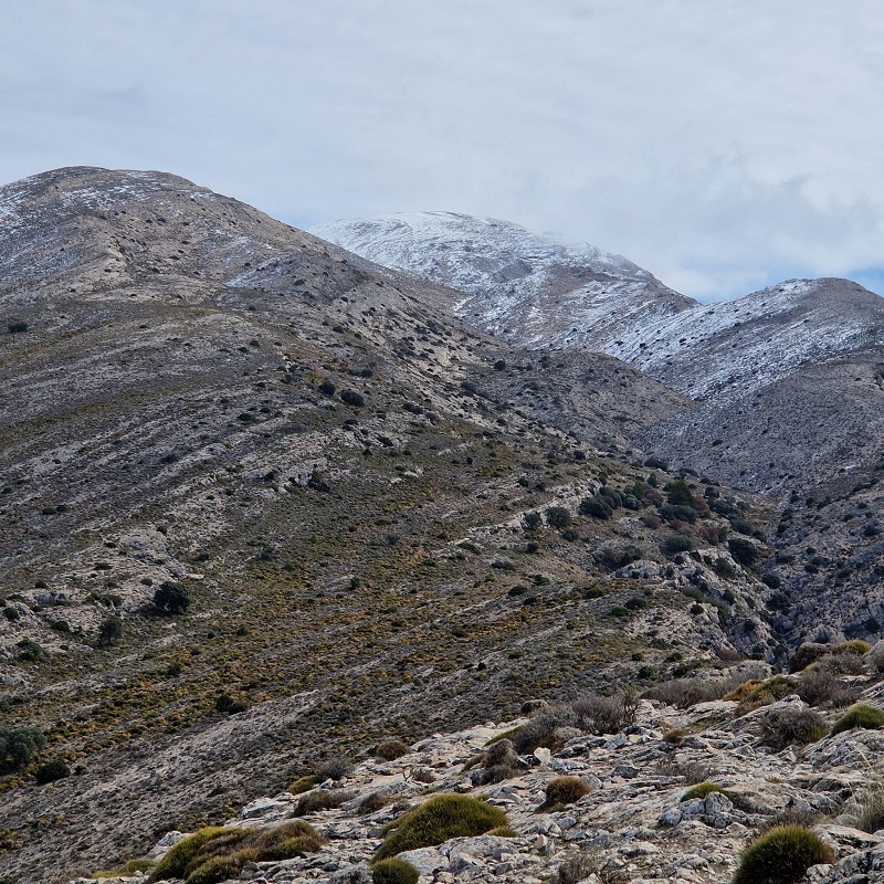 snow-capped peak of la maroma