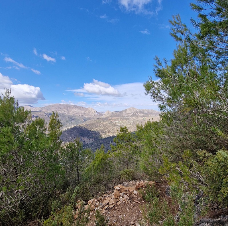 forest track climbing up la torrecilla