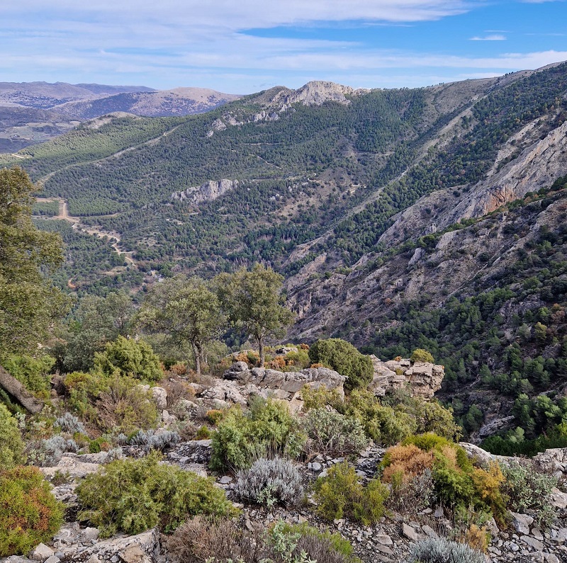 views of la alcazar