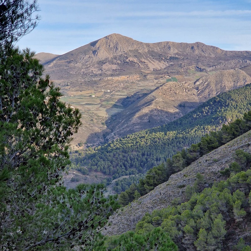 Views of zafarraya from alcaucin woods