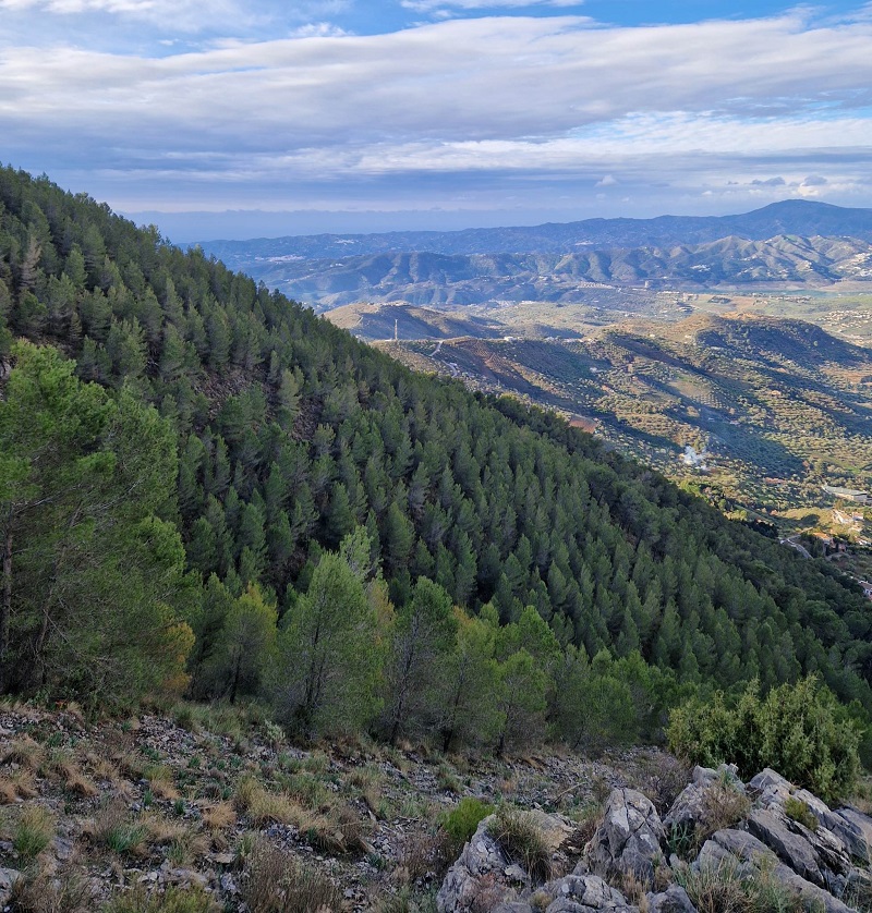 views of vinuela from la torrecilla
