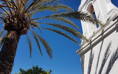 MVVEL with a Palm in Velez-Malaga